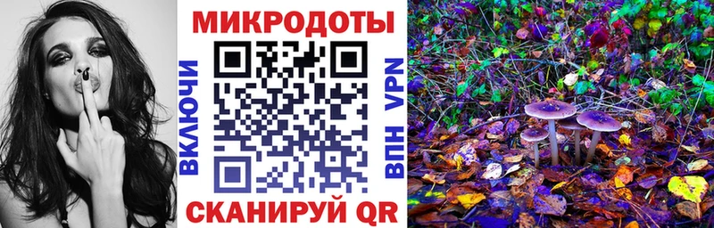 Галлюциногенные грибы мухоморы  Купить закладки  Пудож 