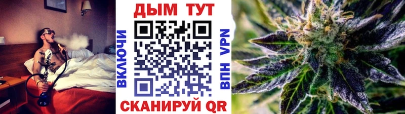 Купить закладки Пудож Бошки марихуана SATIVA & INDICA